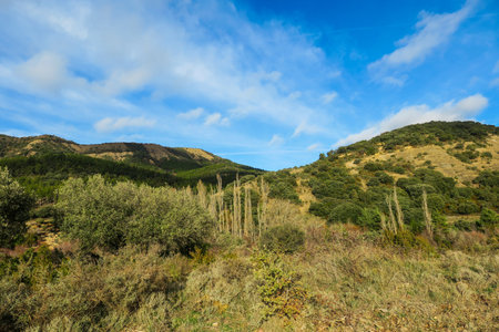 Mountain landscape in the province of Castellon, Spain.の写真素材
