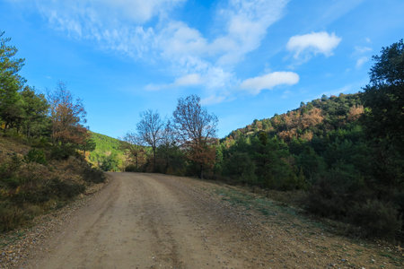 Dirt road in the mountains with trees and blue sky in Spainの写真素材