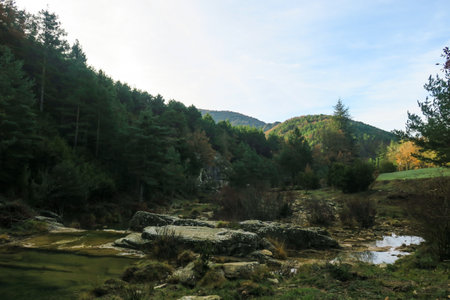 Mountain landscape with a small river and forest in the background.の写真素材