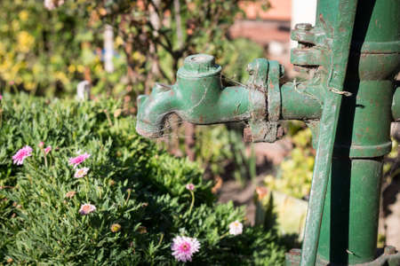 Old useless water pump in the garden surrounded with flowersの写真素材