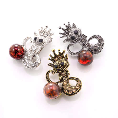 amber brooch catの写真素材