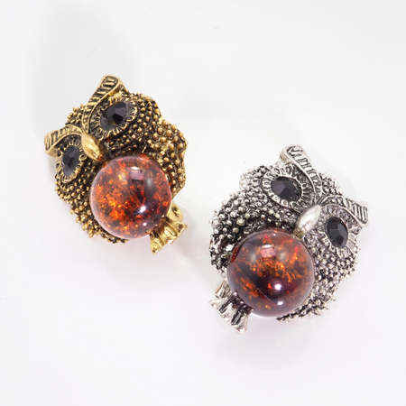amber brooch owlの写真素材