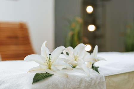 Beautiful young woman in the massage salon with brown curly hair and healthy skin. Masseur and patient concept.の写真素材