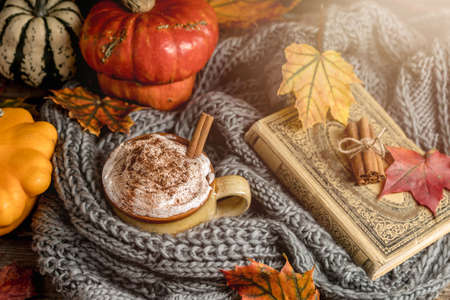 Autumn concept, still life of pumpkin spice latte with whipped milk cream and cinamon. Colorful pumpkins and dry leaves. Old natural wood backroundの写真素材