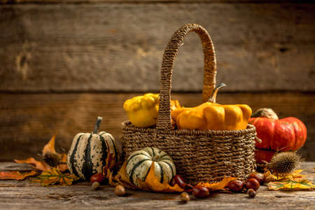 Autumn still life concept with a corf full of chestnuts, pumpkins and colorful dry leavesの写真素材