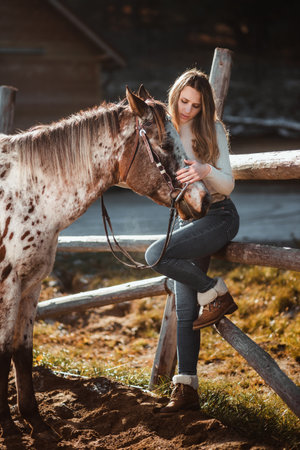 Beautiful young girl posing with her horse in the nature. Sunny autumn day.の写真素材
