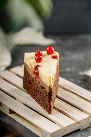 Close up of a slice of delicious cake with red currant and cheesy whipped cream. Tasty cheesecakeの写真素材