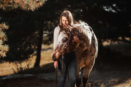 Beautiful young girl posing with her horse in the nature. Sunny autumn day.の写真素材