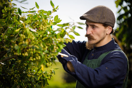 Cropped shot of a young male gardener while clipping or prune the tree in horticulture