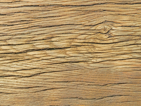 Old oak wood from Wendlandの写真素材