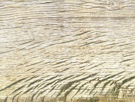 Old and colored oak wood from Wendland, Germany, Europeの写真素材