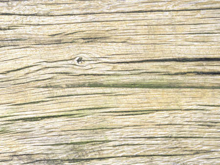 Old and colored oak wood from Wendland, Germany, Europeの写真素材