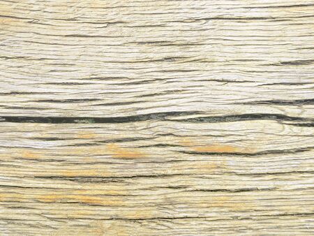 Old and coloured oak wood from Wendland, Germany, Europeの写真素材