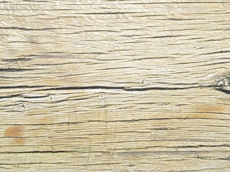 Texture of an old and white colored oak woodの写真素材