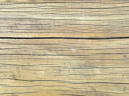 Texture of an old and white colored oak woodの写真素材