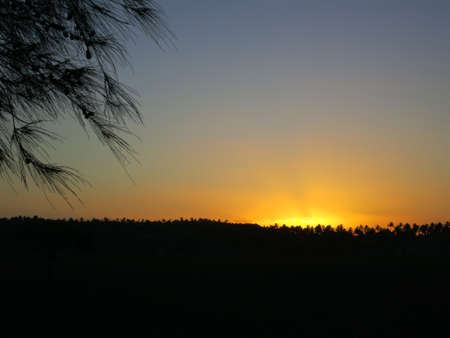 Sunset with a view of a palm forest in Tofo. Inhambane, Mozambique, Southern Africaの写真素材