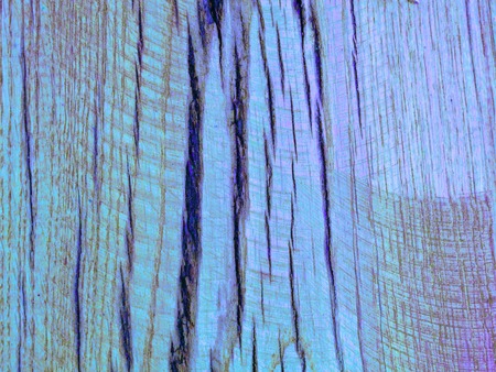 Blue colored oak wood textureの写真素材