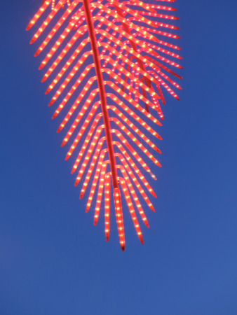 Red light party in a coco palm design with blue skyの写真素材