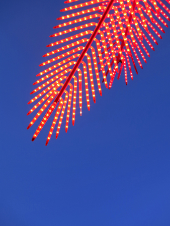 Red light party in a coco palm design with blue skyの写真素材