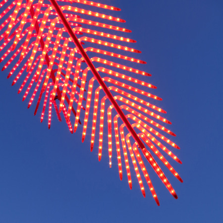 Red light party in a coco palm design with blue skyの写真素材