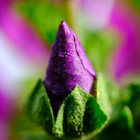 Macro photography of a flower: detail shot of a flower with background blur.の写真素材