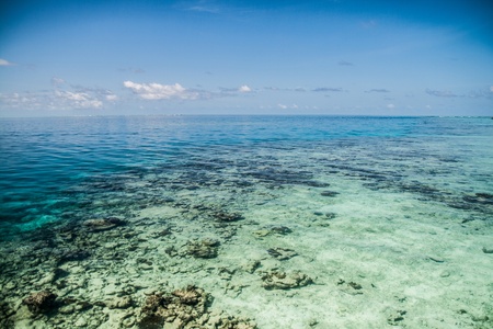 Tropical sea water in Maldivesの写真素材