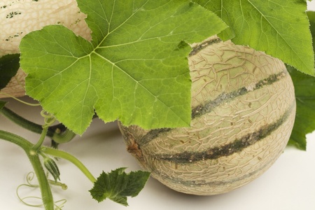 ripe sliced melon isolated on whiteの写真素材