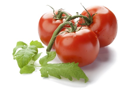 fresh tomato with shadow isolated on whiteの写真素材