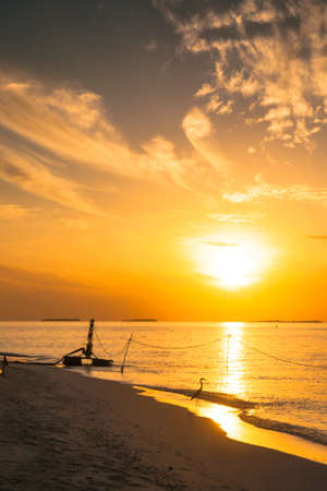 Tropical sea water in Maldivesの写真素材