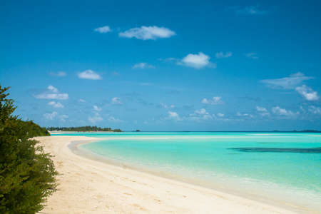 sand of beach caribbean seaの写真素材