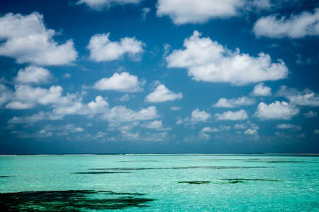 sand of beach caribbean seaの写真素材