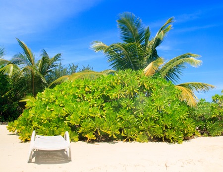stylish beach chair on idyllic tropical white sand beachの写真素材