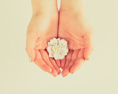 flower in womens handsの写真素材