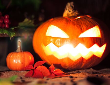 Halloween still life with pumpkins. Studio shotの写真素材