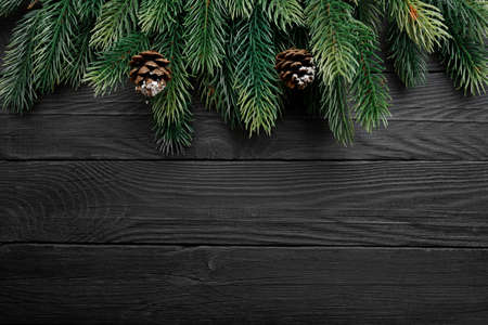 A tree branch with cones on a dark wooden background