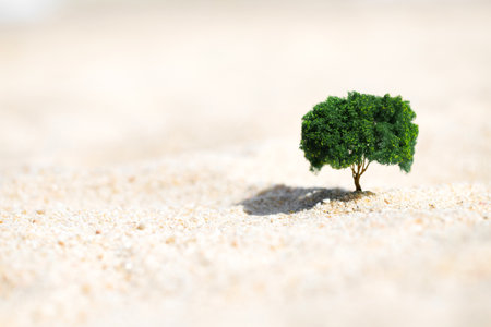Small tree growing out of the sand in the desertの写真素材