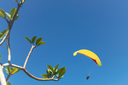 Yellow paraglider in the blue sky. The sportsman flying on a paraglider.の写真素材