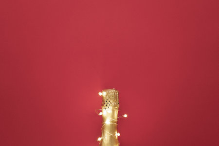 Champagne bottle with garlands on color background, top viewの写真素材