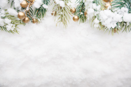 Christmas tree branches on snowの写真素材