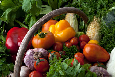 Fresh farm vegetables in a basket 