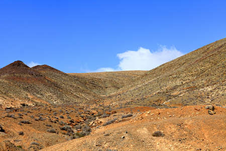Volcanic landscape of Fuerteventura  Canary Islands の写真素材