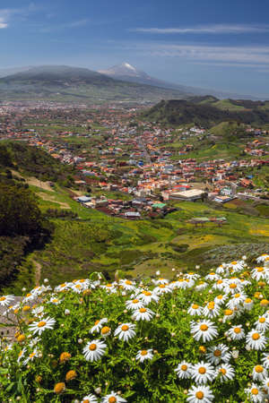Landscape of Tenerife, Canary Islands, Spain の写真素材