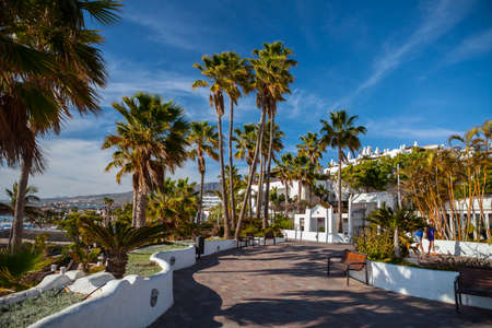 Tenerife, Canary Islands, Spain 