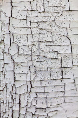 Close up of painted cracked wood texture.の写真素材