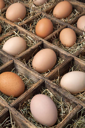 Fresh chicken eggs in vintage wooden box.の写真素材