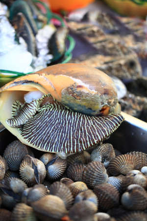Fresh mussels in a street food market. Krabi, Thailand.