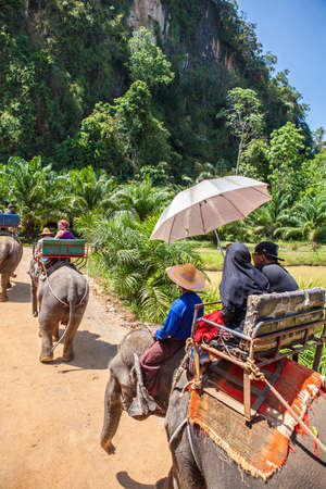 KRABI THAILAND  FEBRUARY 25 2015 : Tourists riding elephant trough jungle on FEBRUARY 25 2015 in Krabi Thailandのeditorial素材