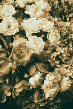 Vintage bouquet of roses and hydrangeaの写真素材