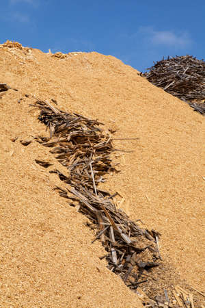Pile of wood chips and sawdust used for biofuel manufacturingの写真素材