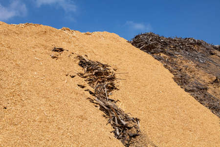 Pile of wood chips and sawdust used for biofuel manufacturingの写真素材